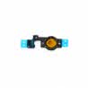 NAPPE IPHONE 5C BOUTON HOME DE QUALITE ORIGINALE