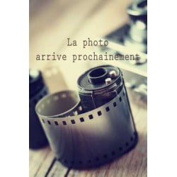 SUPPORT AFFICHEUR SAMSUNG GALAXY GRAND PRIME D'ORIGINE SM-G531F