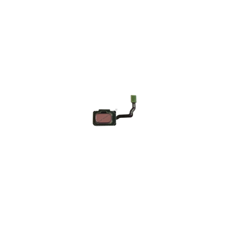 Bouton home - nappe touch id Samsung Galaxy S9 / S9 Plus violet